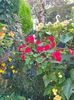 received_606759480562888