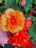 received_913817996174645