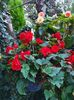 received_1296439704126472