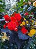 received_562091205185020