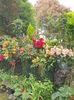 received_214460547504269