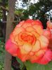 received_386763733228899