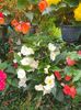 received_586390642632460