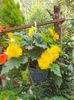 received_594419958342809