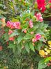 received_401732738315943