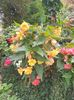 received_1315218152274440