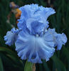 AZURE-VAVES-5