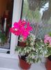 received_659672305200792