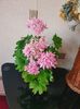 received_1050863652371686