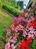 received_956486981888196