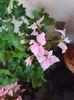received_1048373279335547