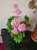 received_979003572960127