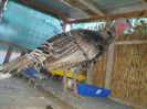 IMG-20211120-WA0022