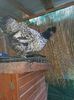 IMG-20211120-WA0012