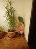 IMG-20211226-WA0103