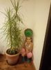 IMG-20211226-WA0102