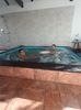 IMG-20211226-WA0072