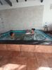 IMG-20211226-WA0069