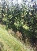 IMG-20211226-WA0194