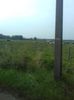IMG-20211226-WA0185