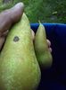 IMG-20211226-WA0183