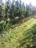 IMG-20211226-WA0182