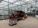 Img.2021.12.27-se pregătesc de plantat
