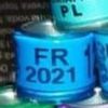 2021-FRANTA