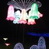 IMG20211223174952