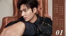 lmh (27)