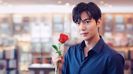lmh (29)