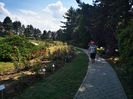 IMG-20210821-WA0012