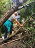 IMG-20210819-WA0160