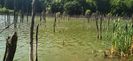 IMG-20210819-WA0065