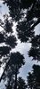 IMG-20210819-WA0108
