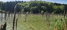 IMG-20210819-WA0061