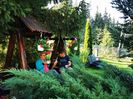 IMG-20210817-WA0010