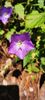 IMG-20210819-WA0145