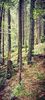 IMG-20210819-WA0042