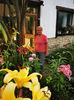 IMG-20210817-WA0008
