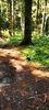 IMG-20210819-WA0120