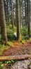 IMG-20210819-WA0049