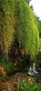 IMG-20210819-WA0052