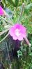 IMG-20210819-WA0050