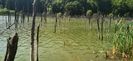 IMG-20210819-WA0067