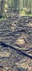 IMG-20210819-WA0036