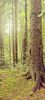 IMG-20210819-WA0111