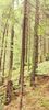 IMG-20210819-WA0112
