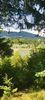 IMG-20210819-WA0082