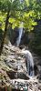 IMG-20210819-WA0113